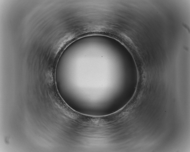 X0000102821218200808181238