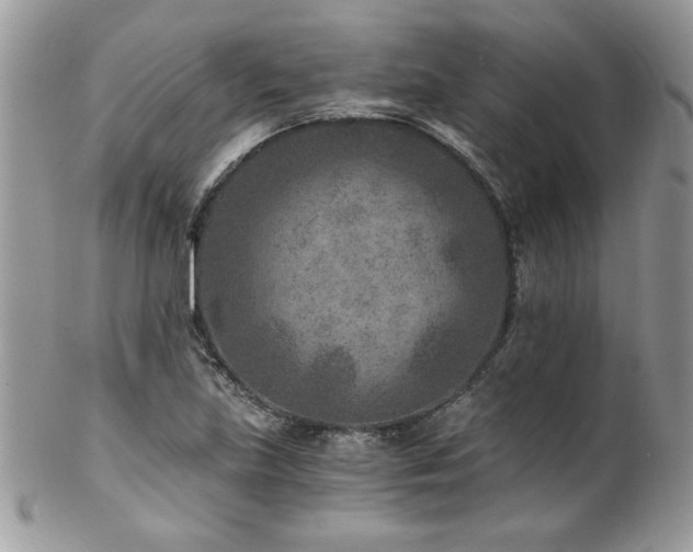 X0000102821219200808181238