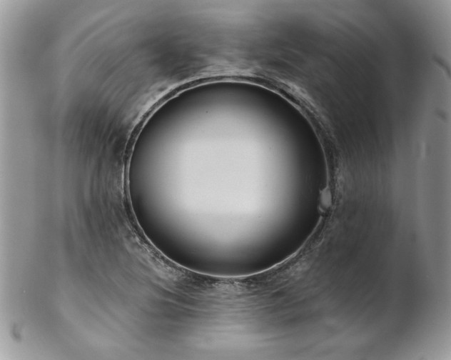 X0000102821220200808181238