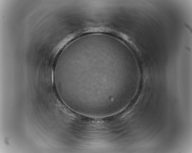 X0000102821221200808181238