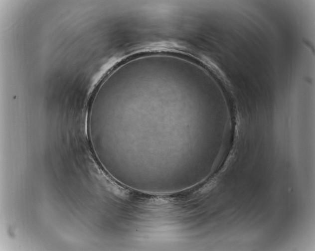 X0000102821224200808181238