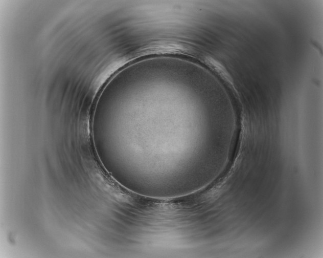 X0000102821226200808181238