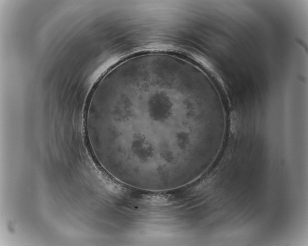 X0000102821229200808181239