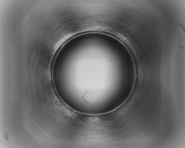 X0000102821230200808181239