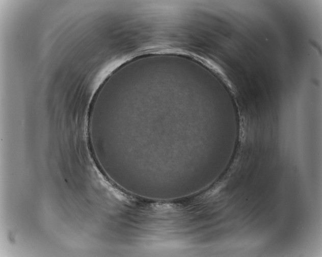 X0000102821231200808181239