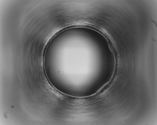 X0000102821232200808181239
