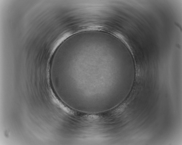 X0000102821235200808181239