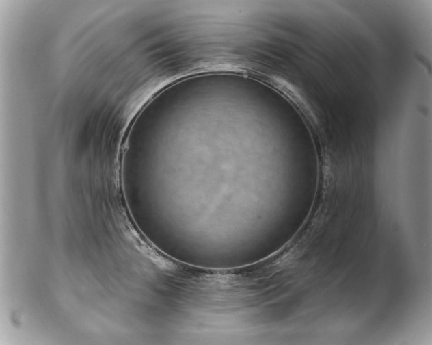 X0000102821236200808181239