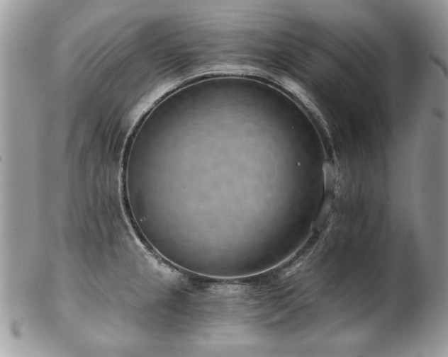 X0000102821237200808181239