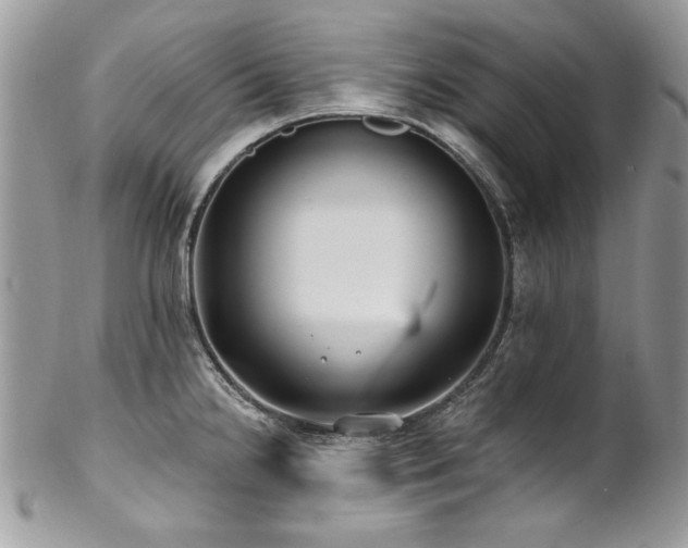 X0000102821238200808181239