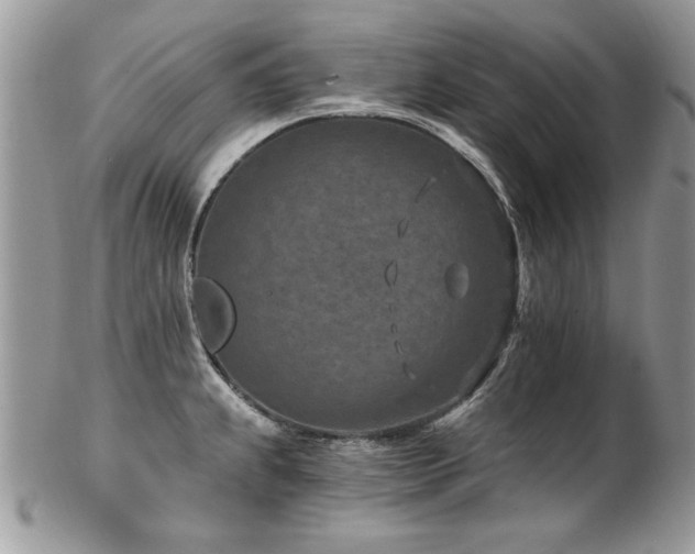 X0000102821239200808181239