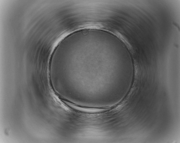 X0000102821240200808181239