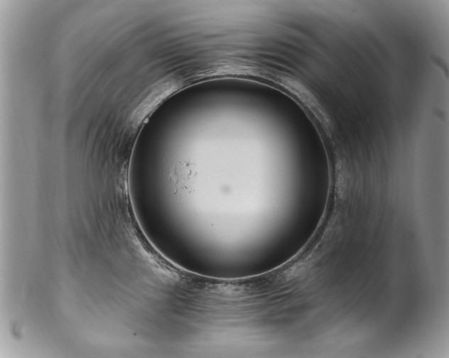 X0000102821241200808181239