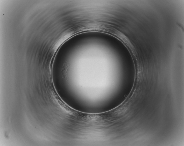 X0000102821242200808181239