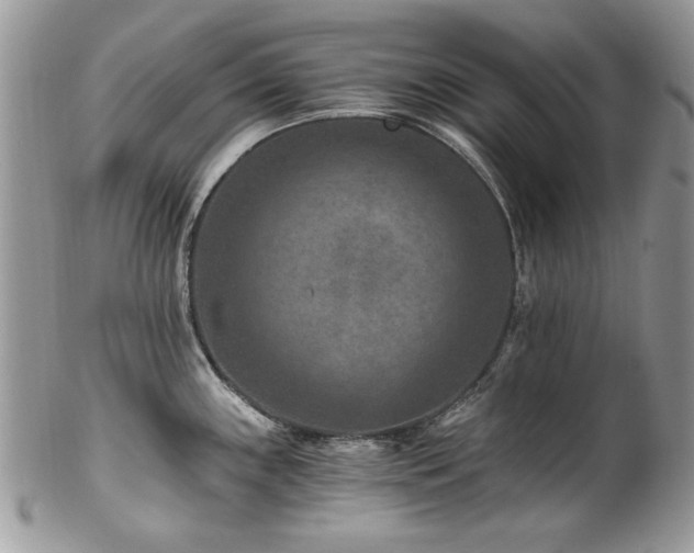 X0000102821243200808181239