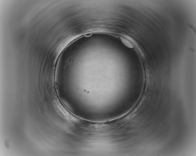 X0000102821244200808181239