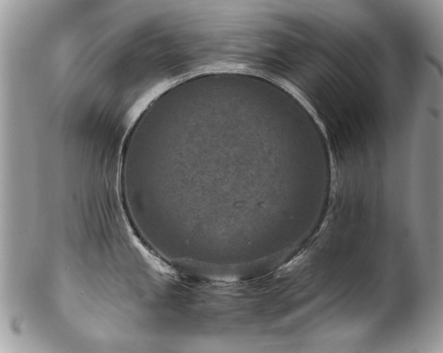 X0000102821245200808181239