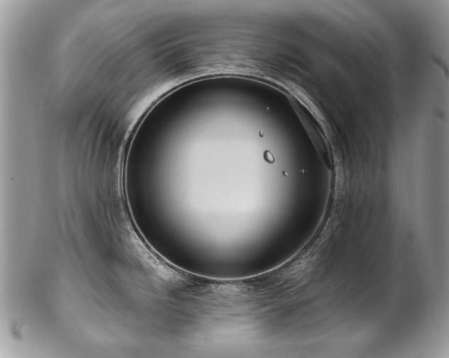 X0000102821246200808181239