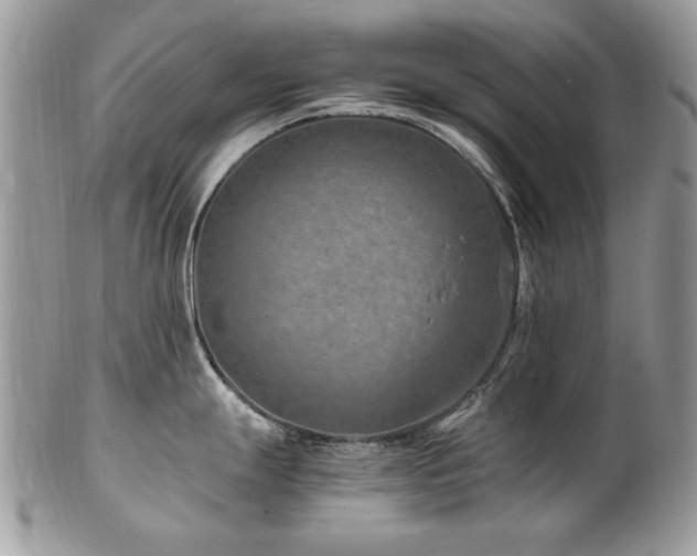 X0000102821247200808181239