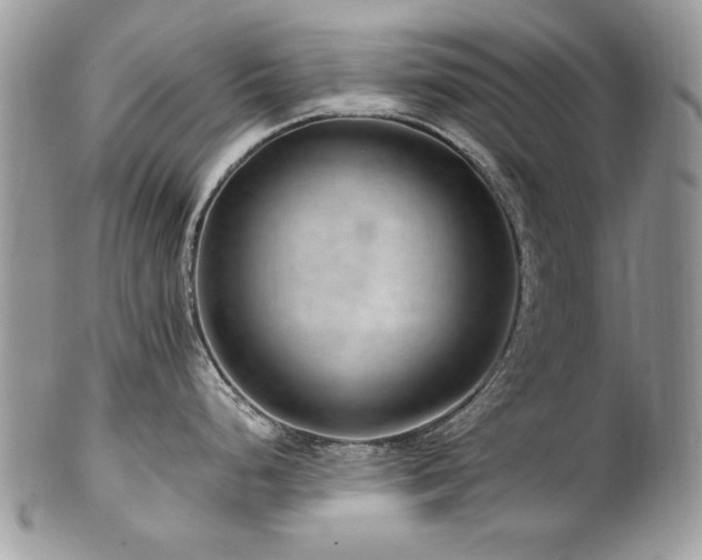 X0000102821248200808181239