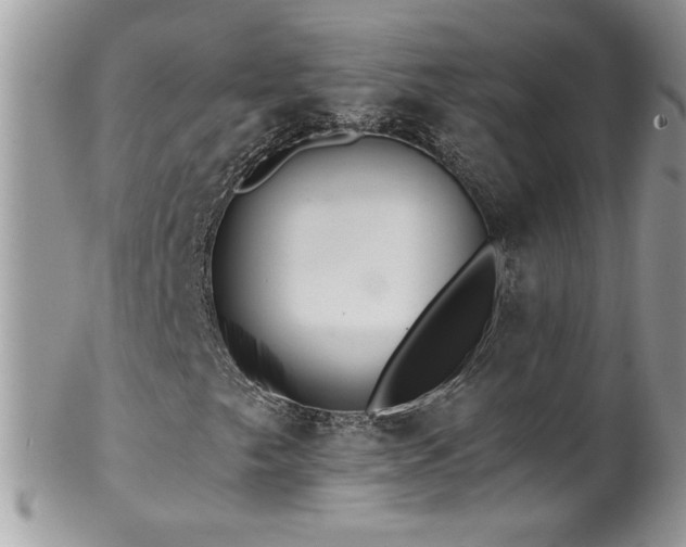 X0000102821249200808181238