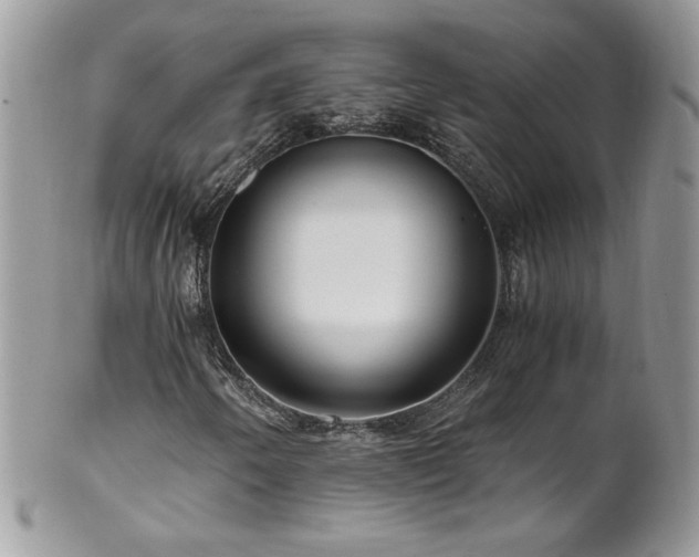 X0000102821250200808181238