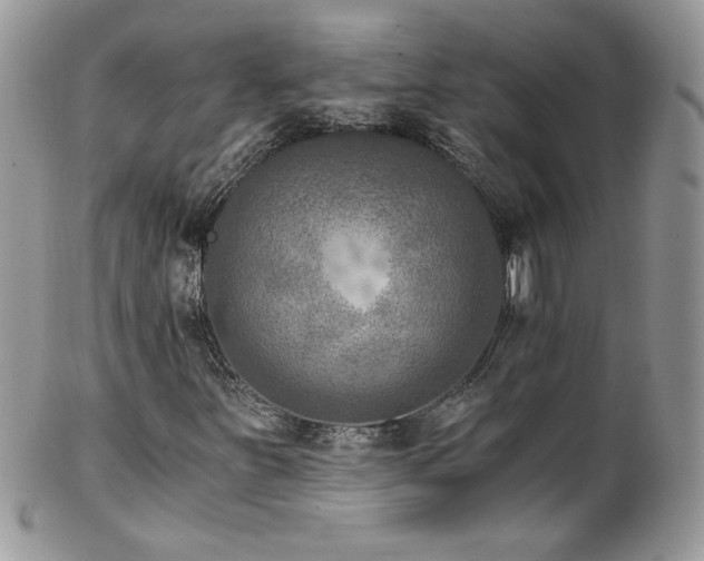 X0000102821251200808181238