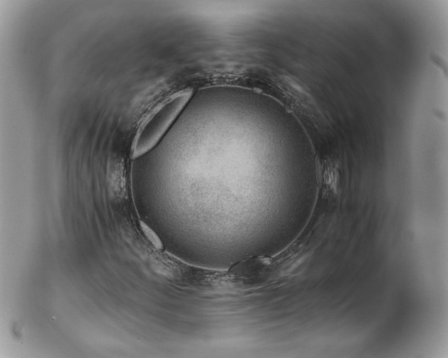 X0000102821252200808181238