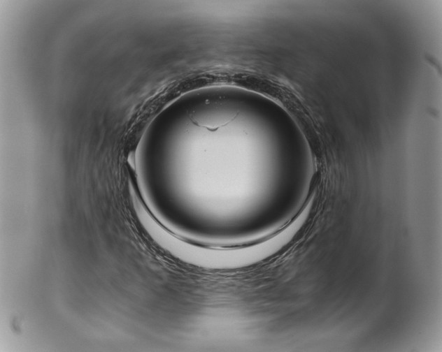 X0000102821253200808181238