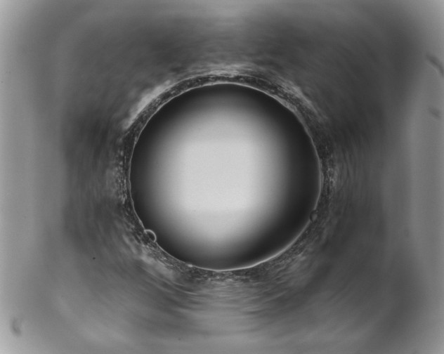 X0000102821256200808181238
