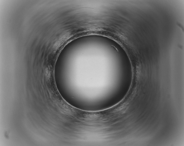 X0000102821257200808181238