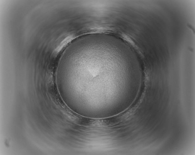 X0000102821259200808181238