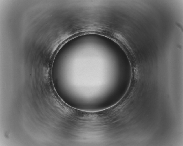 X0000102821260200808181238