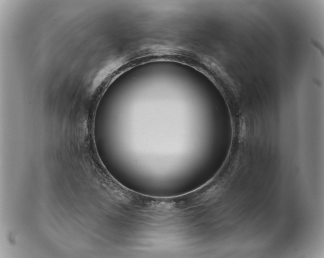 X0000102821261200808181238