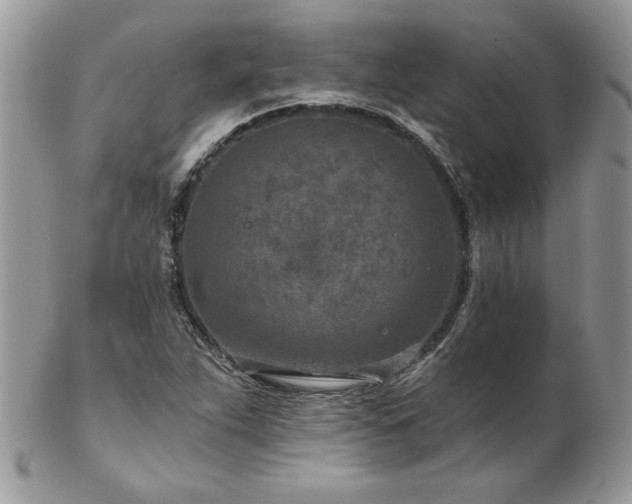 X0000102821263200808181238