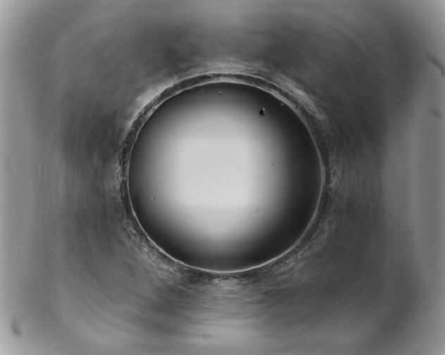 X0000102821264200808181238