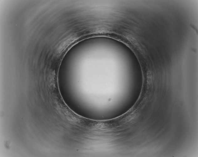 X0000102821265200808181238