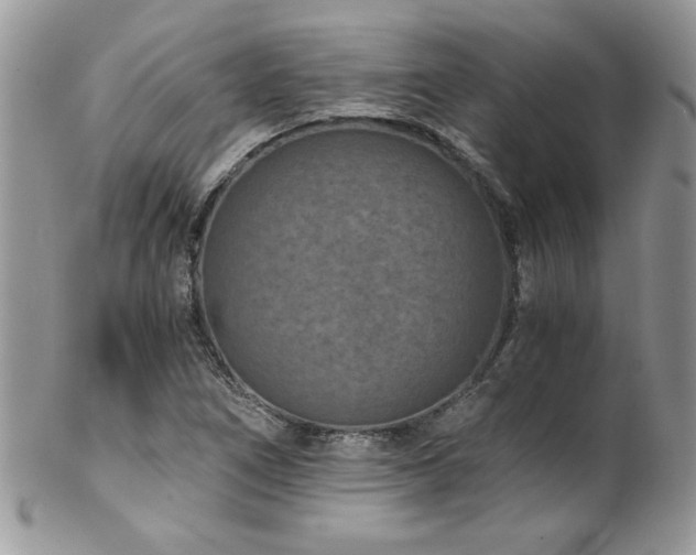 X0000102821266200808181238