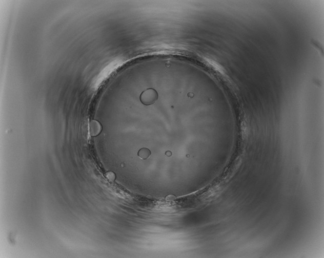 X0000102821267200808181238