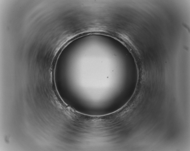 X0000102821268200808181238