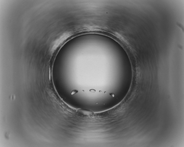 X0000102821269200808181238