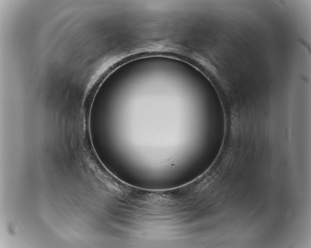 X0000102821270200808181238