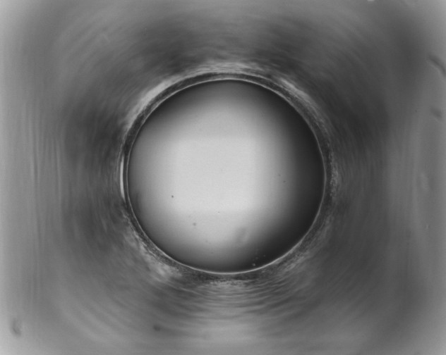 X0000102821272200808181238