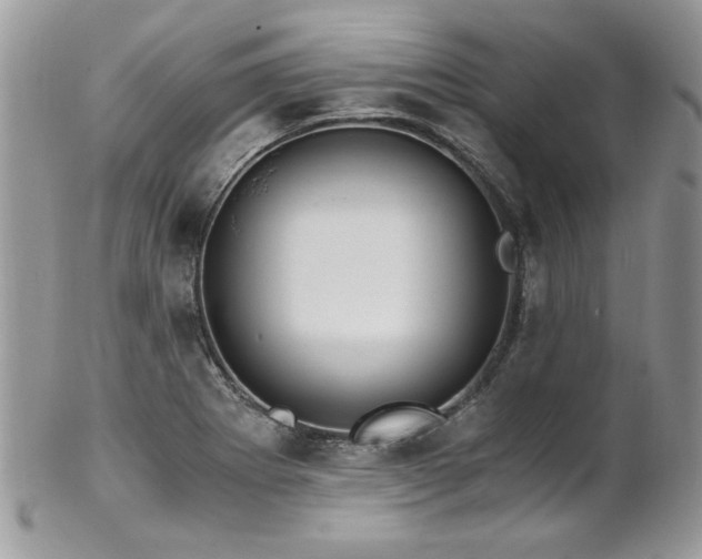 X0000102821273200808181238