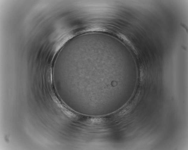X0000102821274200808181238