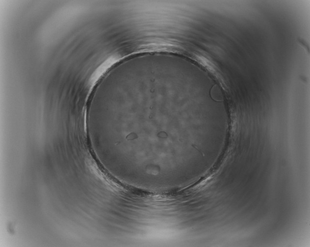 X0000102821275200808181238