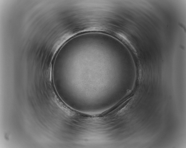 X0000102821276200808181238