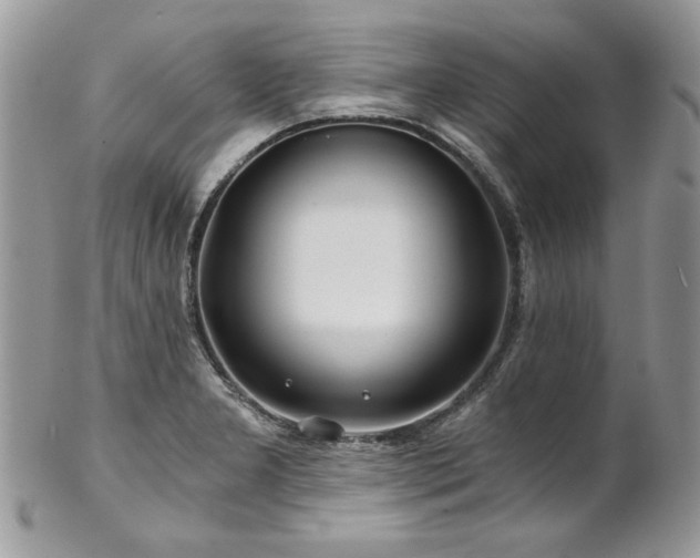 X0000102821277200808181238