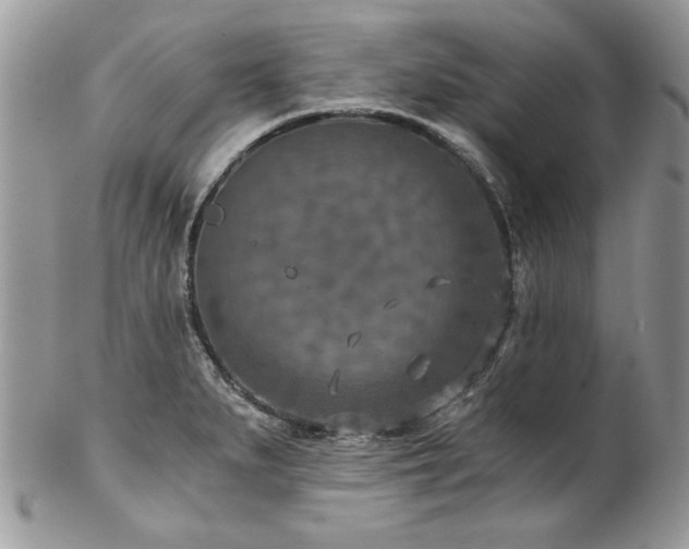X0000102821279200808181238