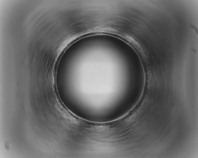 X0000102821280200808181238